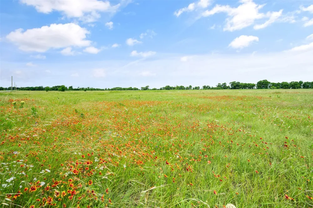 Private Road 425 Hillsboro, TX 76645