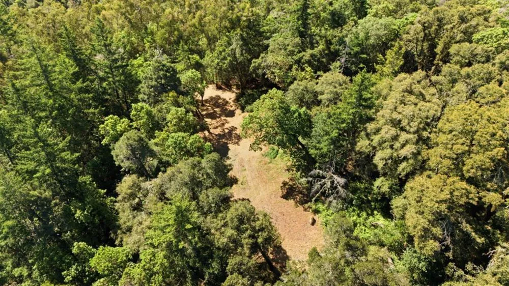 Page Mill Road Palo Alto, CA 94304