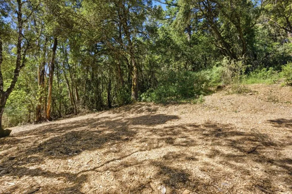 Page Mill Road Palo Alto, CA 94304
