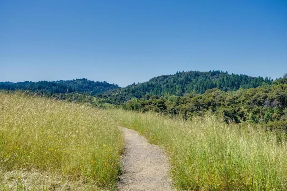 Page Mill Road Palo Alto, CA 94304