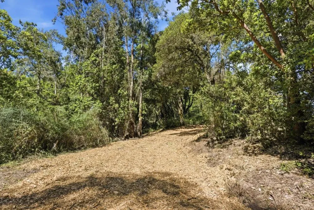 Page Mill Road Palo Alto, CA 94304
