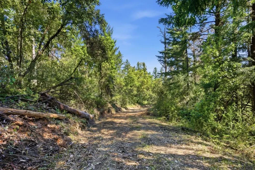 Page Mill Road Palo Alto, CA 94304