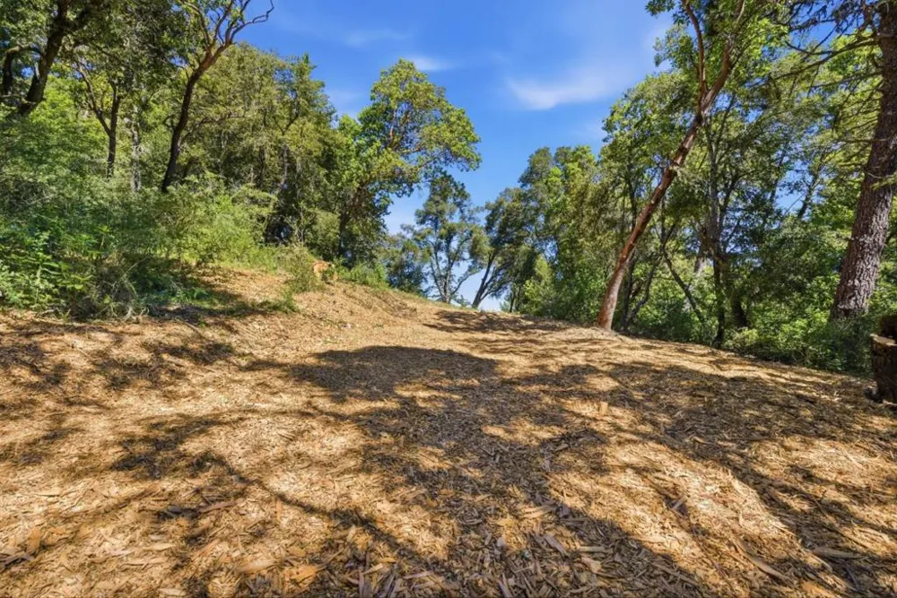 Page Mill Road Palo Alto, CA 94304