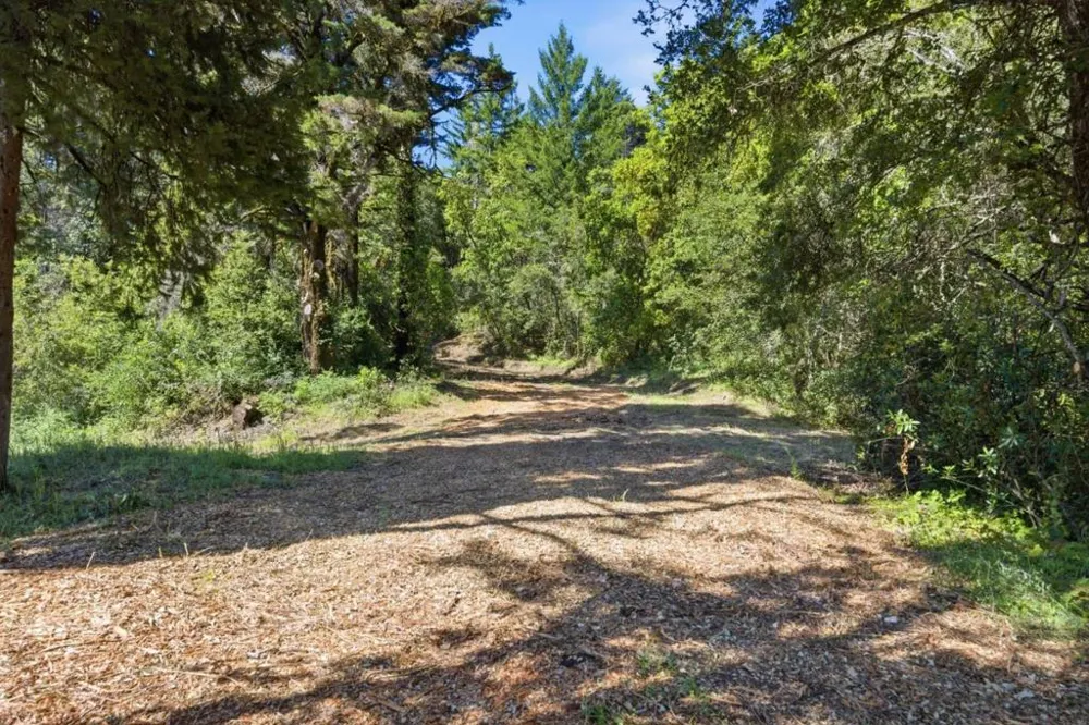 Page Mill Road Palo Alto, CA 94304