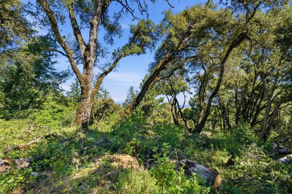 Page Mill Road Palo Alto, CA 94304