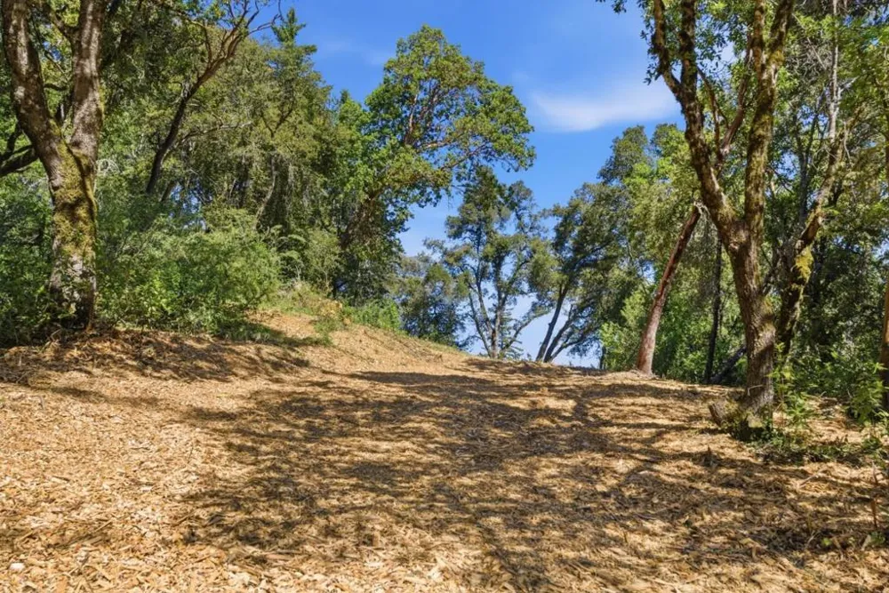 Page Mill Road Palo Alto, CA 94304