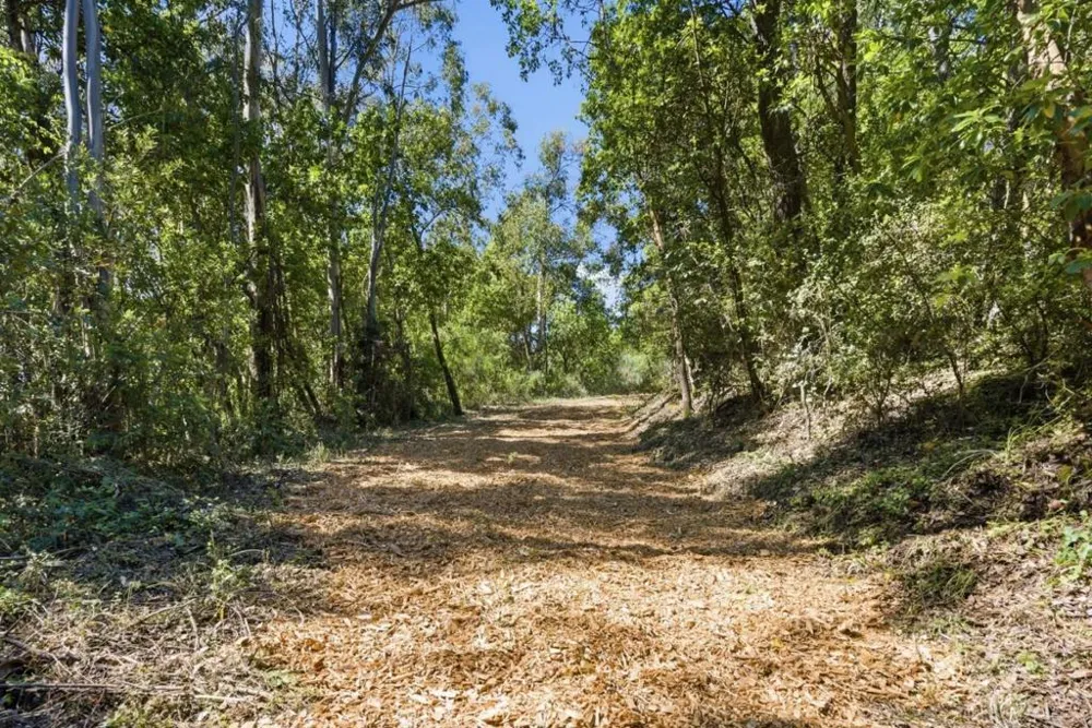 Page Mill Road Palo Alto, CA 94304