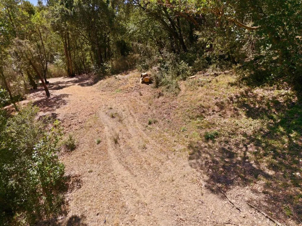 Page Mill Road Palo Alto, CA 94304