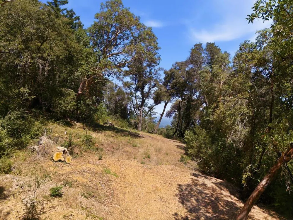 Page Mill Road Palo Alto, CA 94304