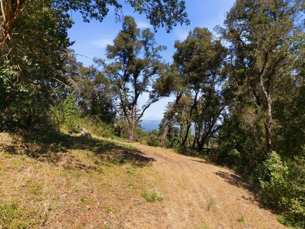 Page Mill Road Palo Alto, CA 94304