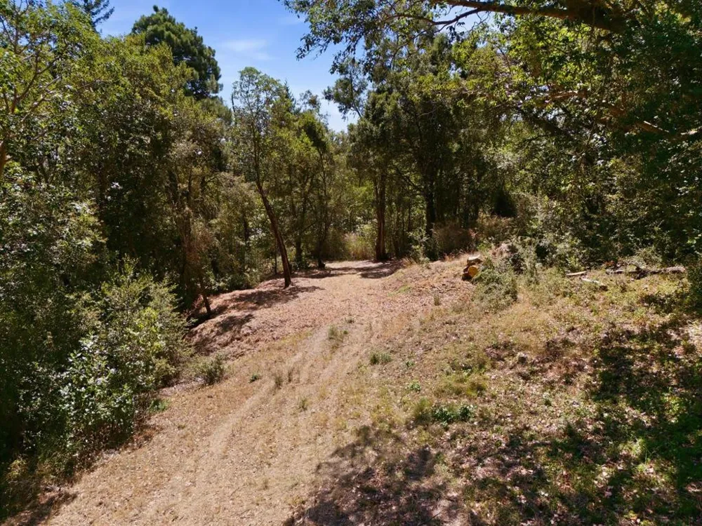 Page Mill Road Palo Alto, CA 94304