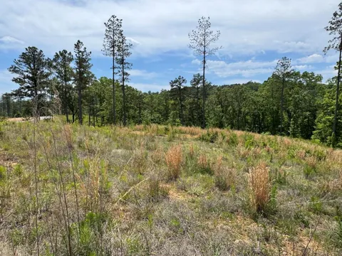 Lot 243 Spear Point Dr