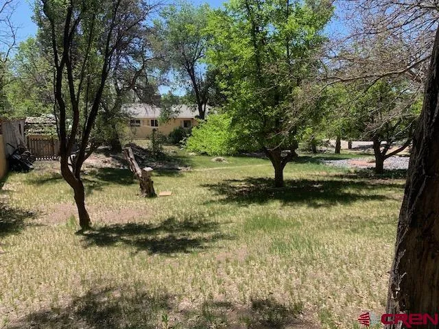 570 SW 2nd Court Cedaredge, CO 81413