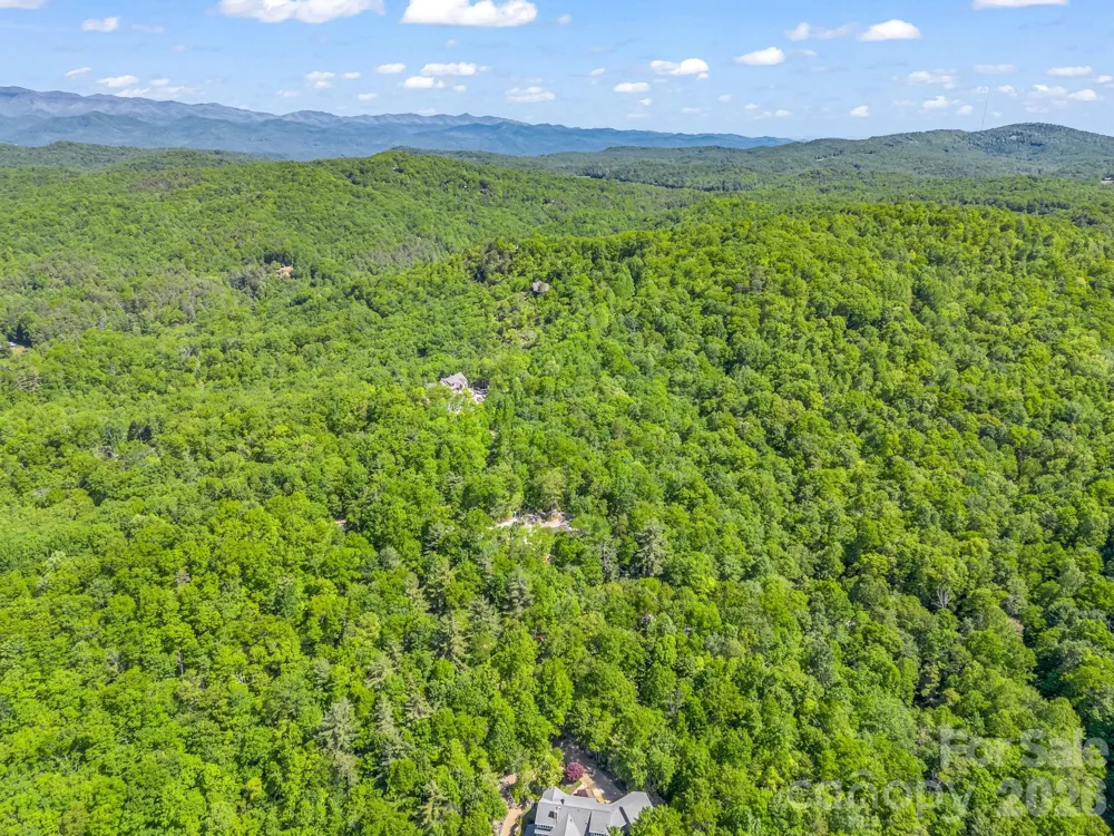 352 Big Hill Road Brevard, NC 28712