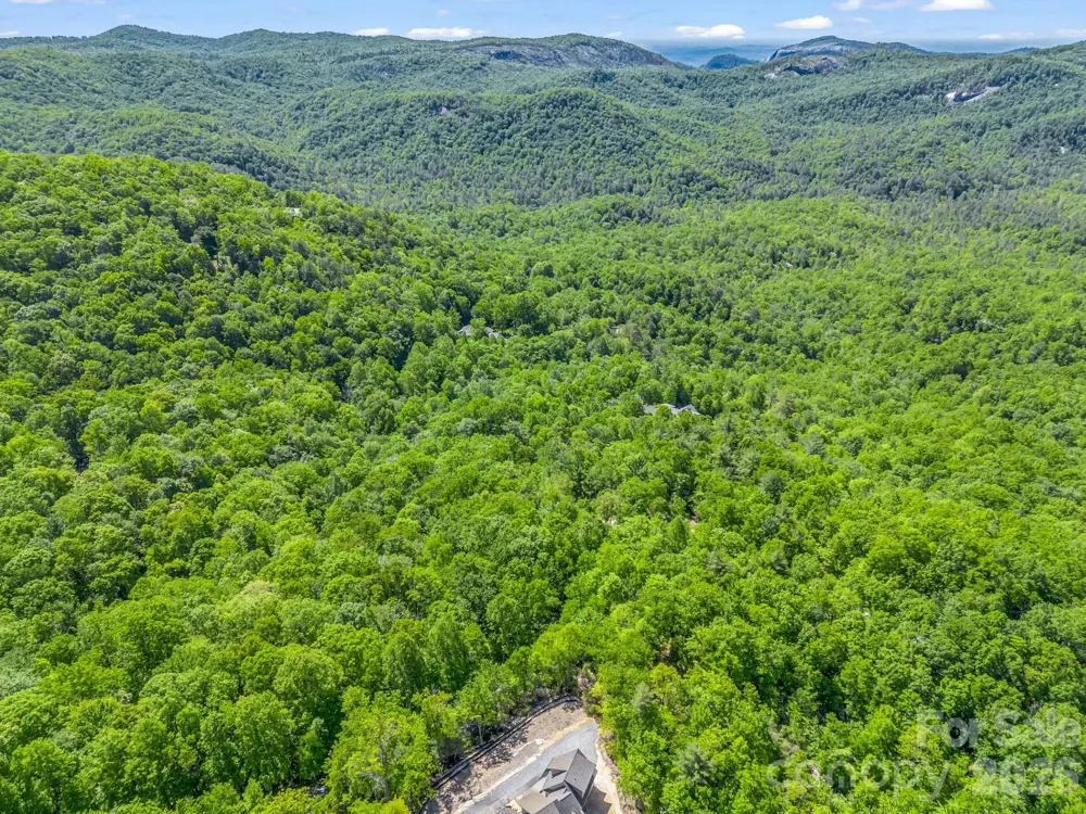 352 Big Hill Road Brevard, NC 28712