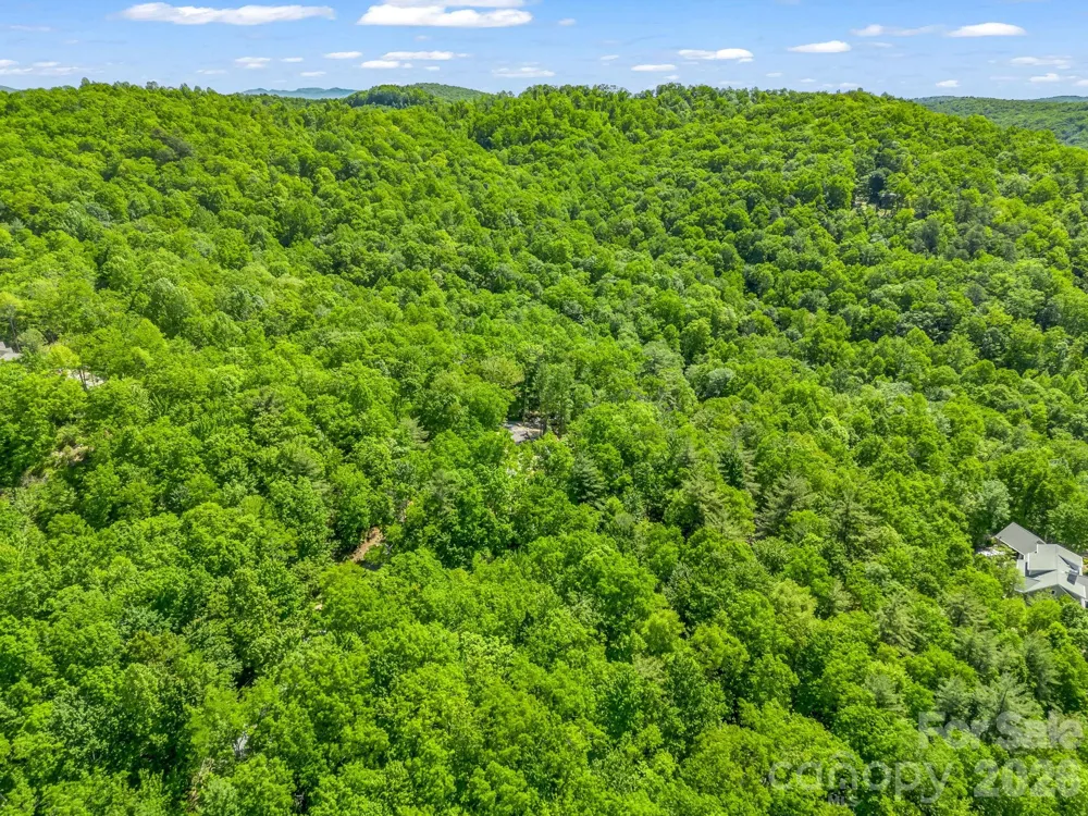 352 Big Hill Road Brevard, NC 28712