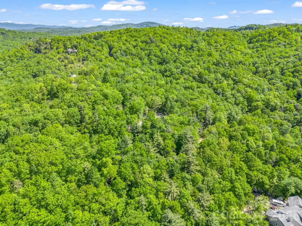 352 Big Hill Road Brevard, NC 28712