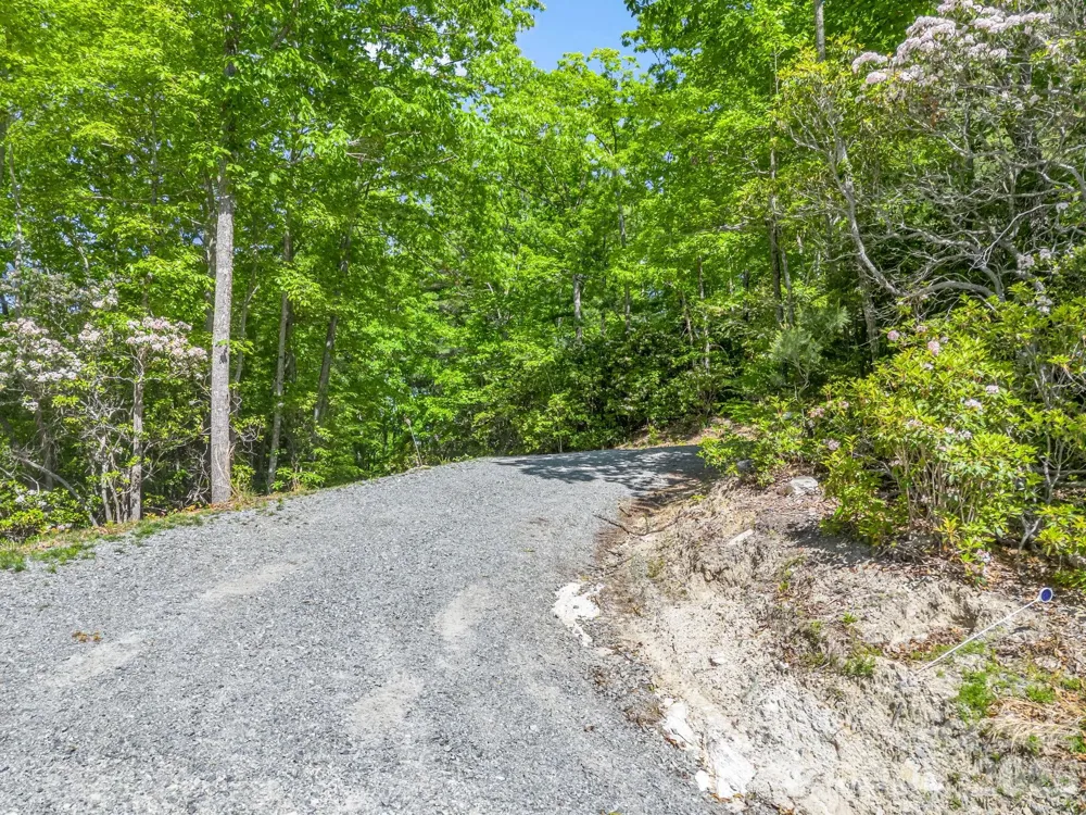352 Big Hill Road Brevard, NC 28712