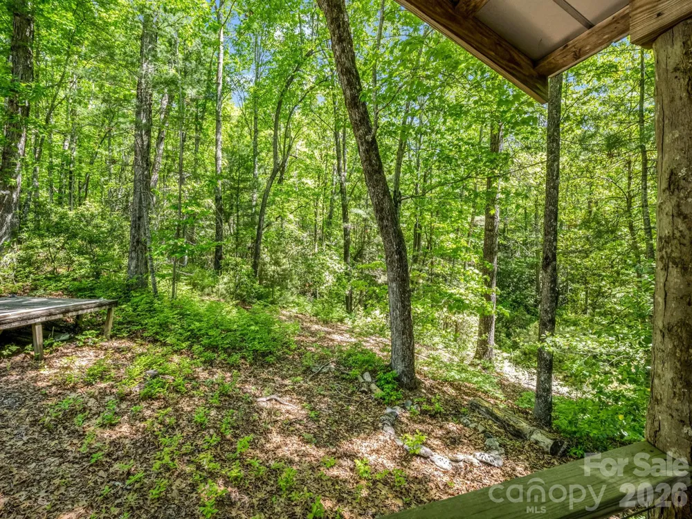 352 Big Hill Road Brevard, NC 28712