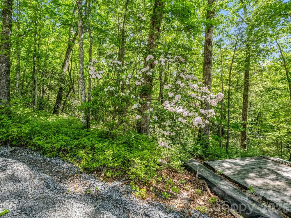 352 Big Hill Road Brevard, NC 28712