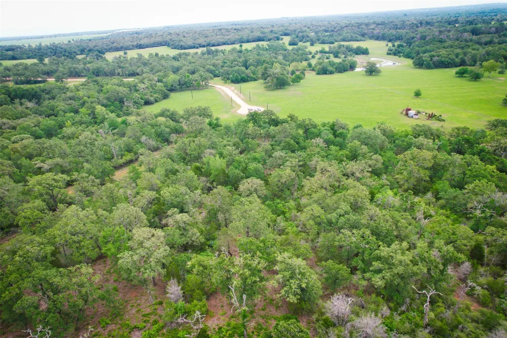 6 Ranches at Meadow Park Milano, TX 76556