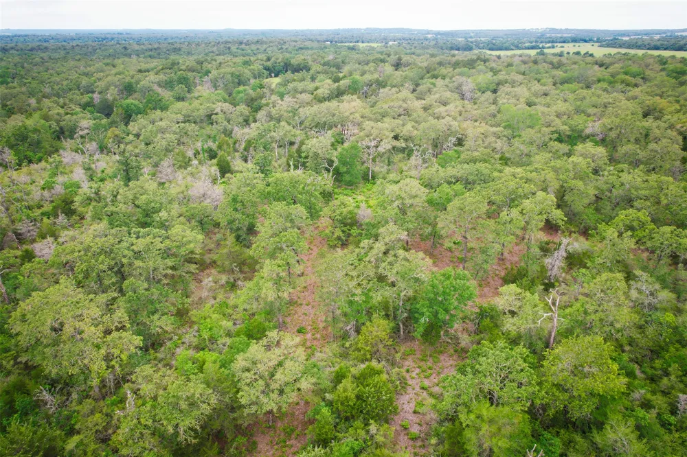 6 Ranches at Meadow Park Milano, TX 76556