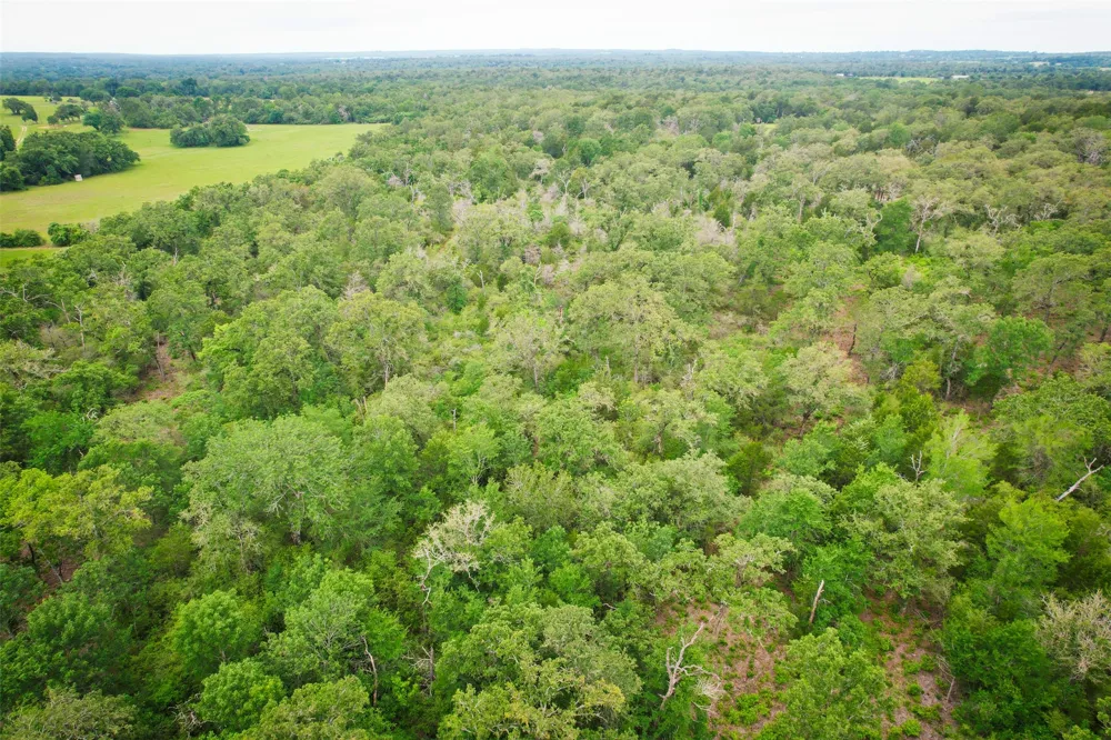 6 Ranches at Meadow Park Milano, TX 76556