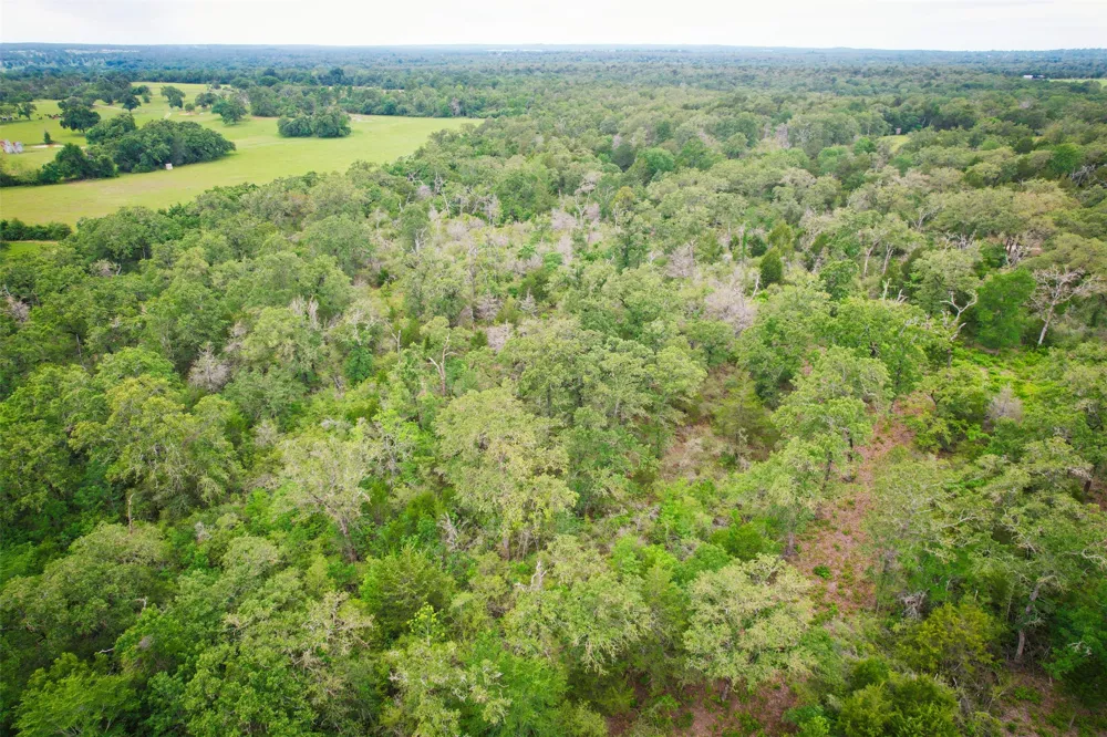 6 Ranches at Meadow Park Milano, TX 76556