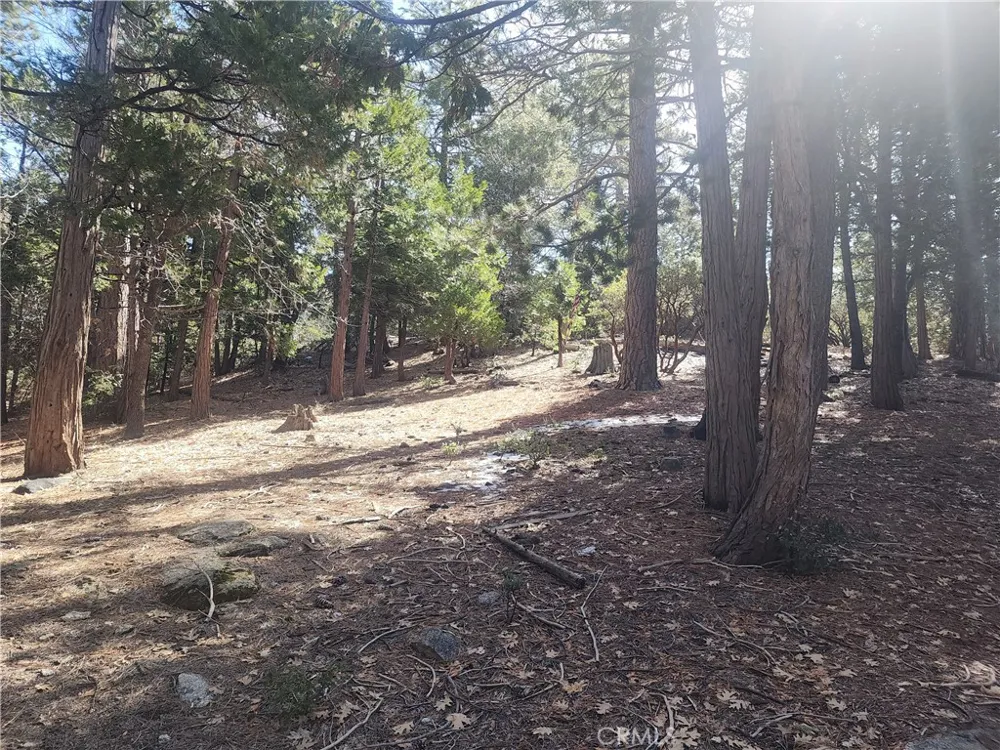 52547 Pine Cove Idyllwild, CA 92549
