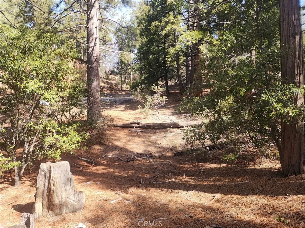 52547 Pine Cove Idyllwild, CA 92549