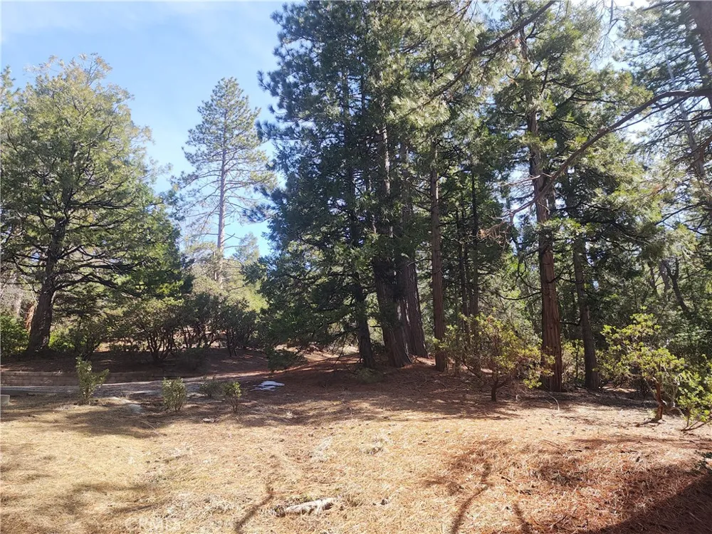 52547 Pine Cove Idyllwild, CA 92549