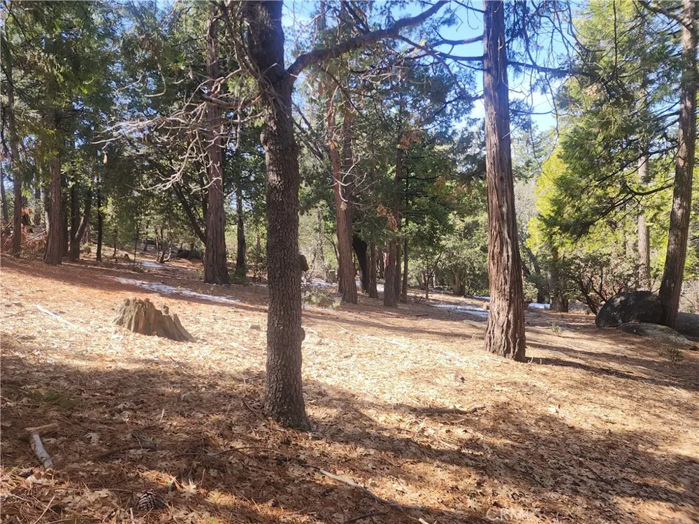 52547 Pine Cove Idyllwild, CA 92549