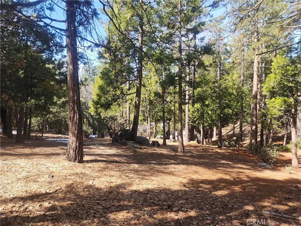52547 Pine Cove Idyllwild, CA 92549