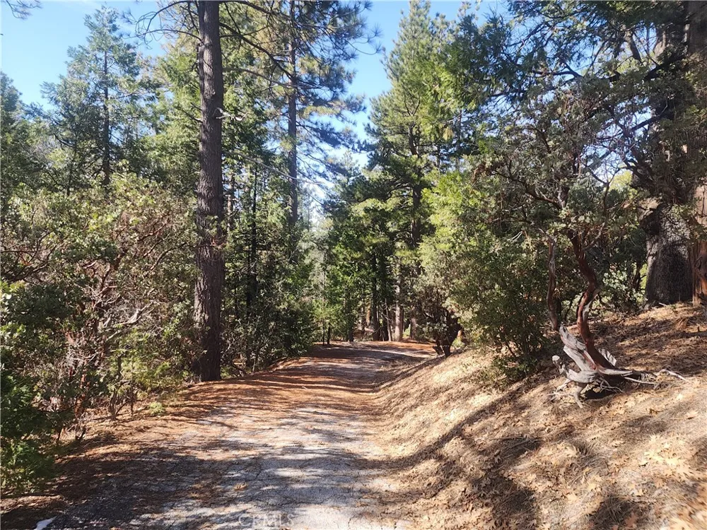 52547 Pine Cove Idyllwild, CA 92549
