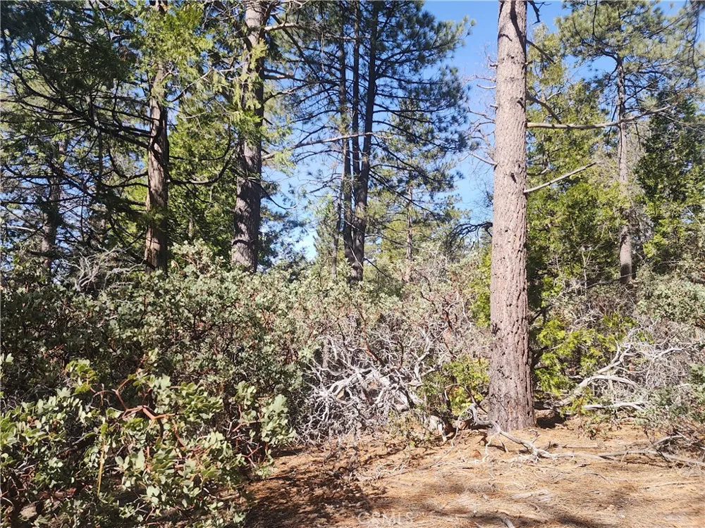 52547 Pine Cove Idyllwild, CA 92549
