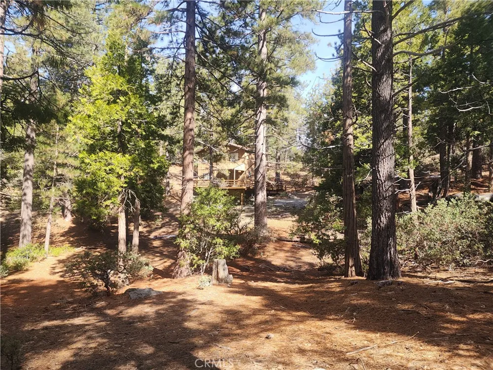 52547 Pine Cove Idyllwild, CA 92549
