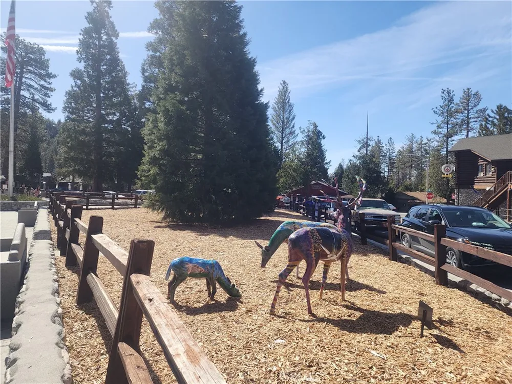 52547 Pine Cove Idyllwild, CA 92549