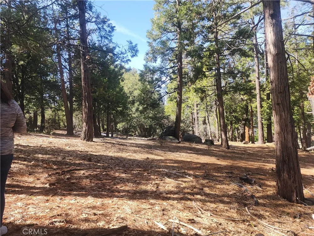 52547 Pine Cove Idyllwild, CA 92549