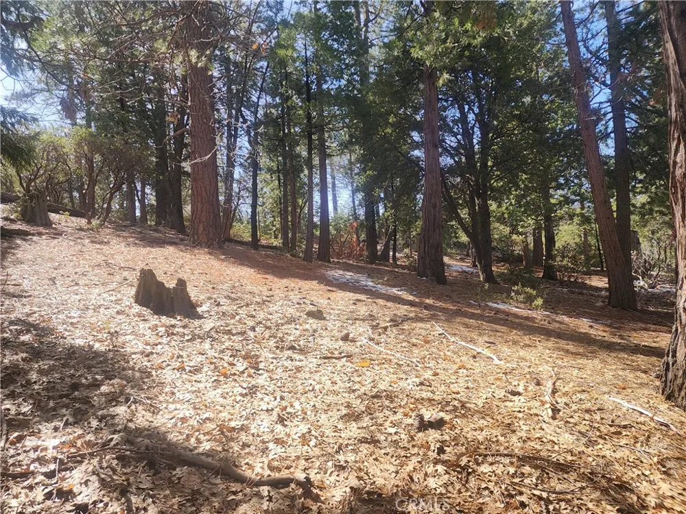 52547 Pine Cove Idyllwild, CA 92549