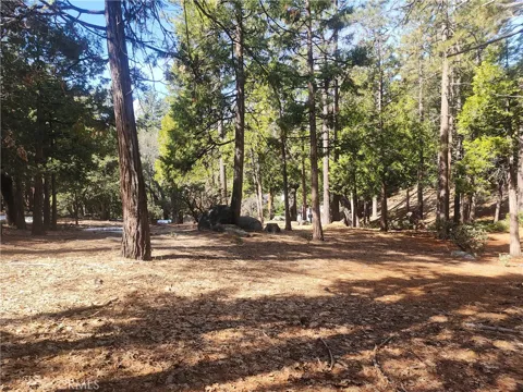 52547 Pine Cove
