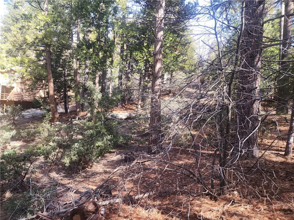 52547 Pine Cove Idyllwild, CA 92549