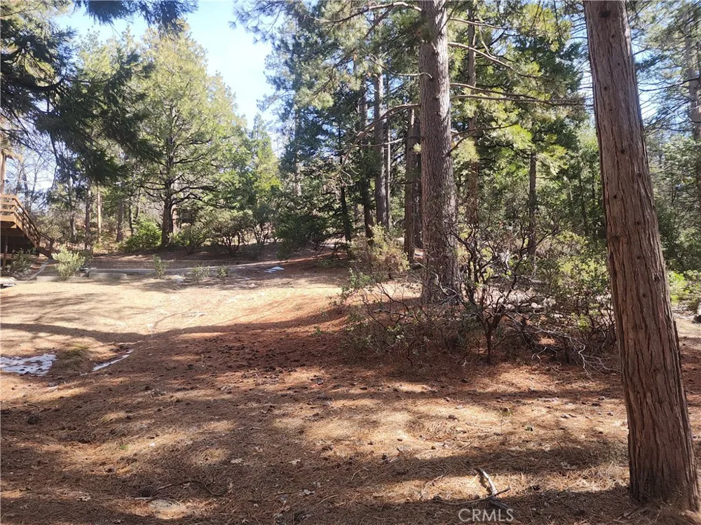 52547 Pine Cove Idyllwild, CA 92549