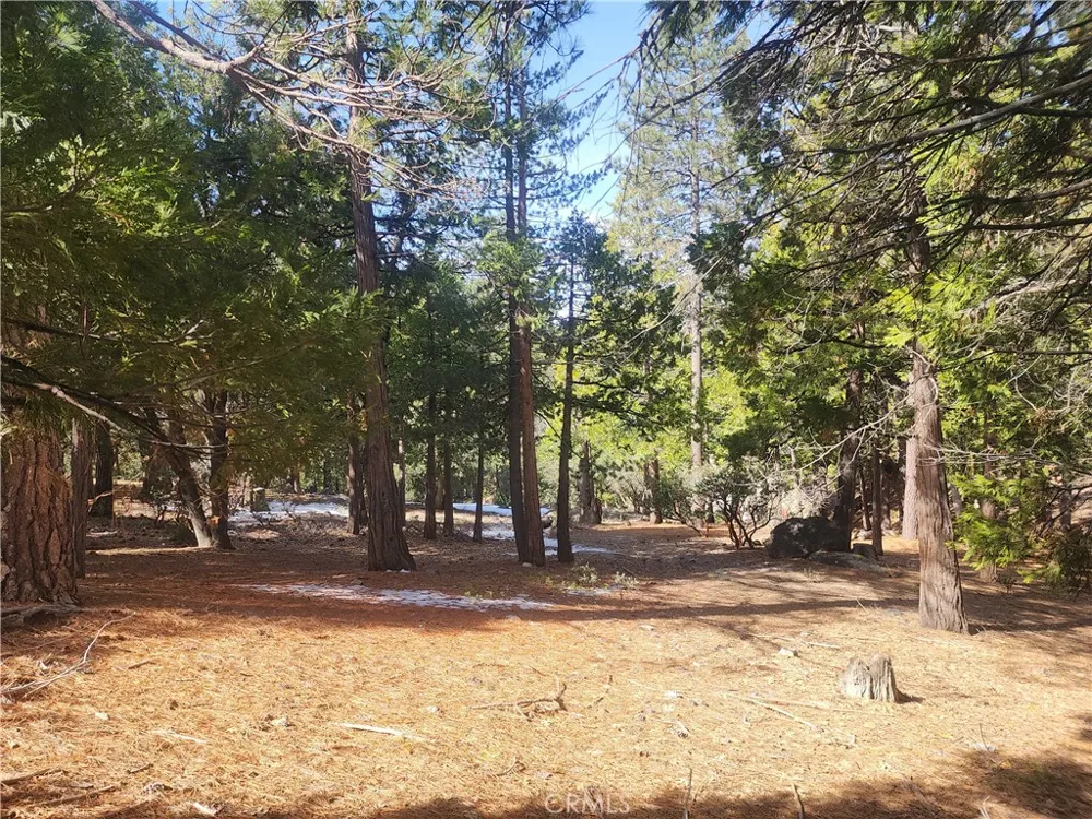52547 Pine Cove Idyllwild, CA 92549