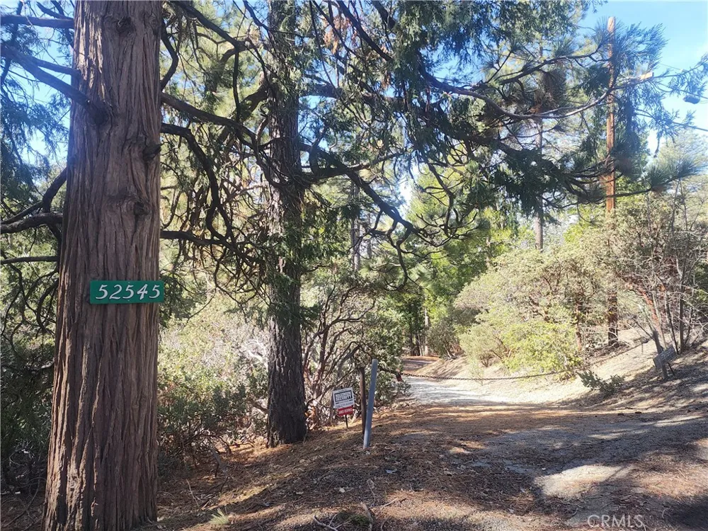 52547 Pine Cove Idyllwild, CA 92549