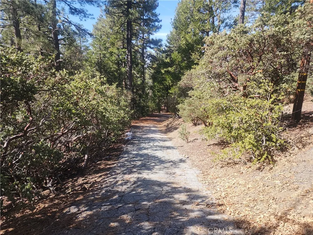 52547 Pine Cove Idyllwild, CA 92549