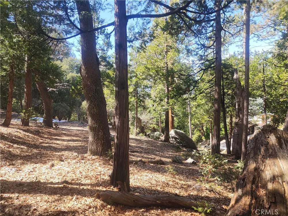 52547 Pine Cove Idyllwild, CA 92549