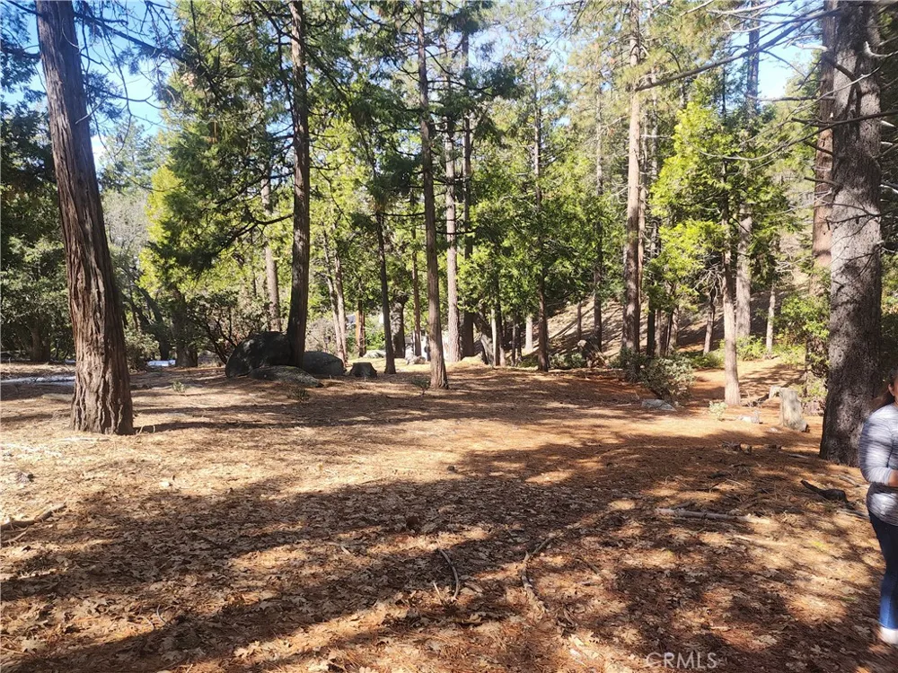 52547 Pine Cove Idyllwild, CA 92549