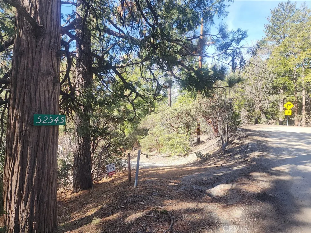 52547 Pine Cove Idyllwild, CA 92549