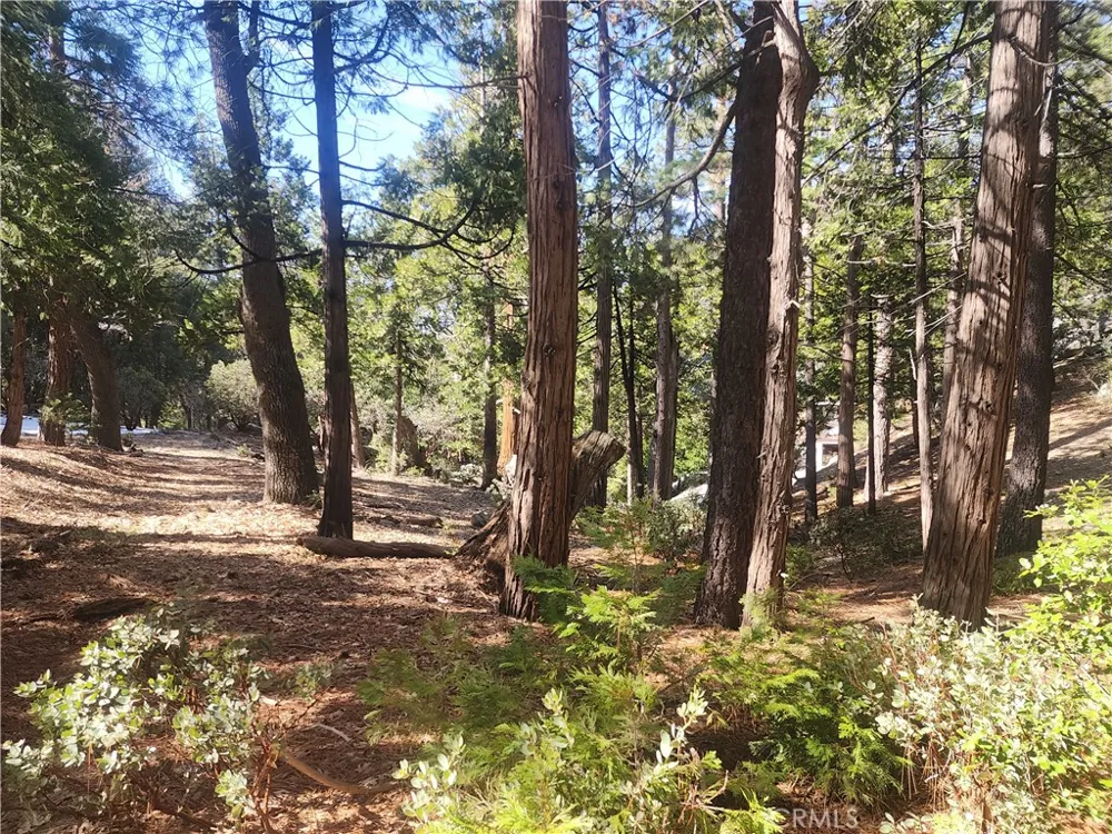 52547 Pine Cove Idyllwild, CA 92549