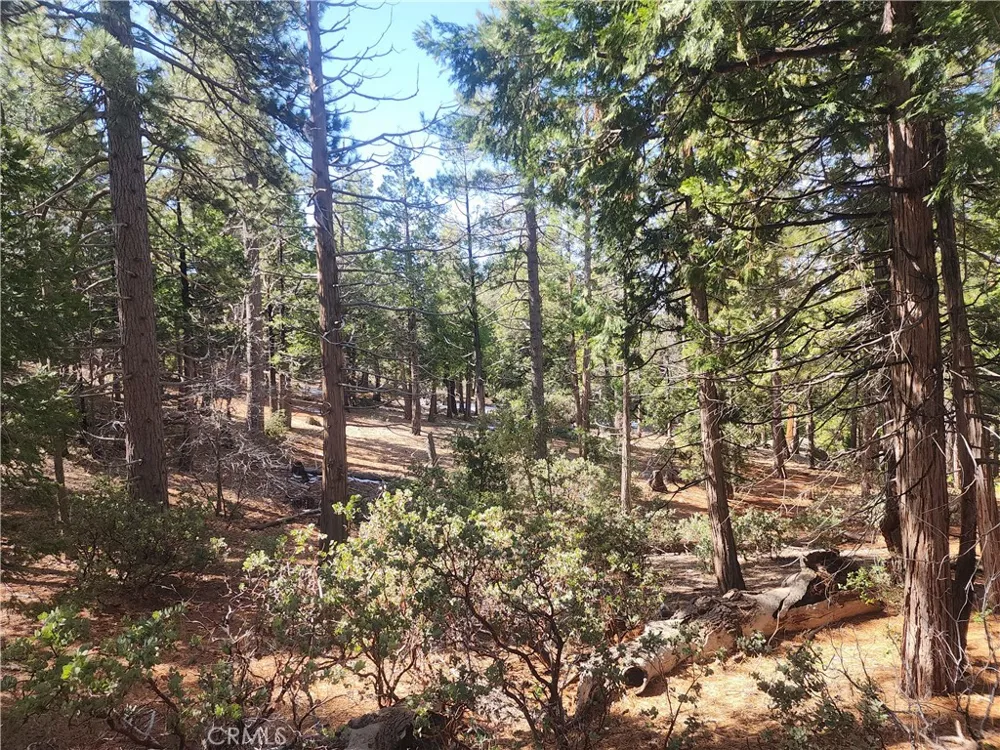 52547 Pine Cove Idyllwild, CA 92549